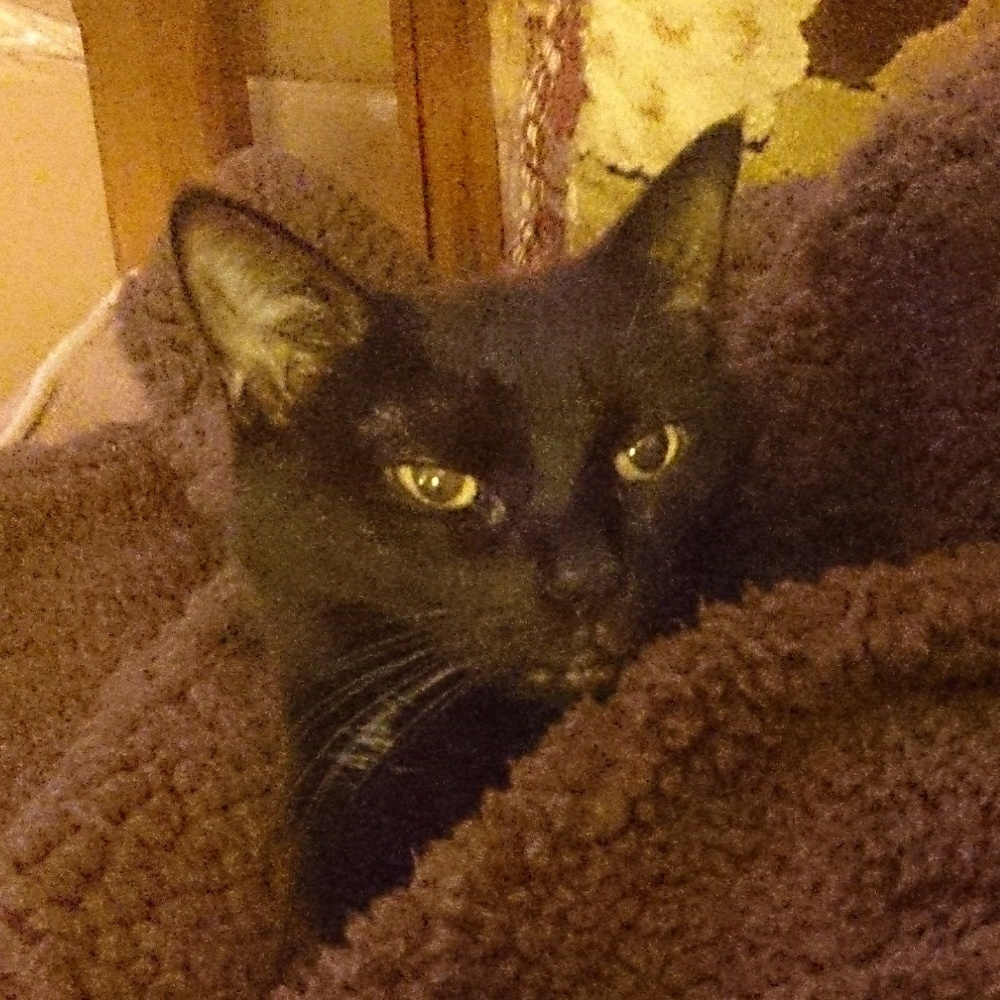 Meet your Posher, Marie